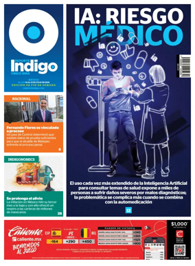 Cover of Reporte Indigo Nacional