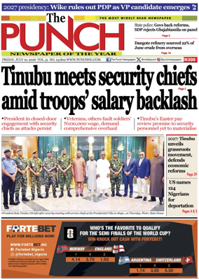 Cover of The Punch