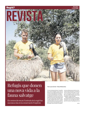 Cover of Dominical