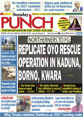Cover of Sunday Punch
