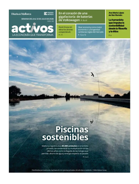 Cover of Activos
