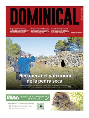 Cover of Dominical