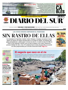 Cover of Diario del Sur