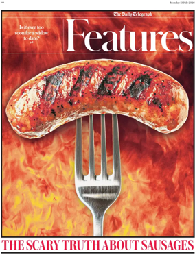 Cover of Features
