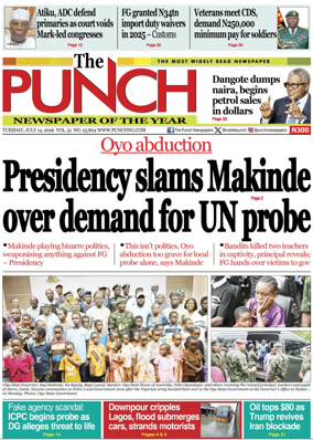Cover of The Punch