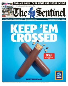 Cover of The Sentinel
