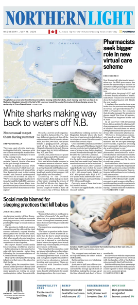 Cover of Northern Light