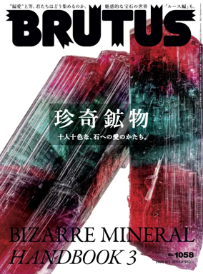 Cover of BRUTUS