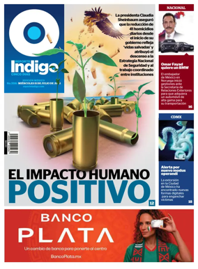 Cover of Reporte Indigo Nacional