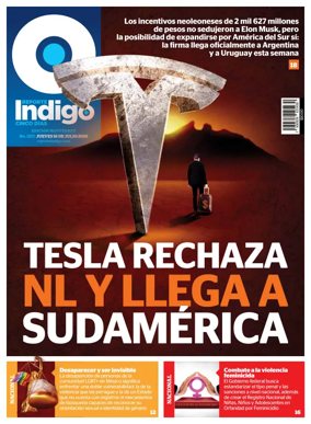 Cover of Reporte Indigo Monterrey