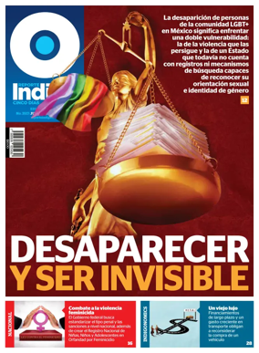 Cover of Reporte Indigo Nacional