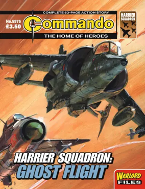Cover of Commando 1