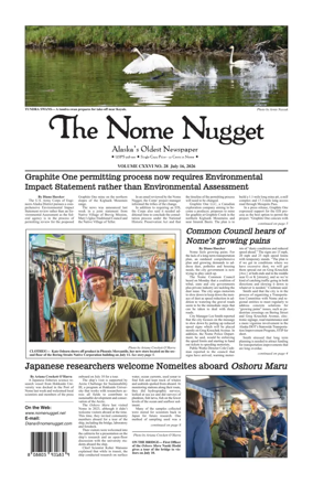 Cover of The Nome Nugget