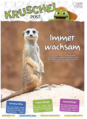 Cover of Kruschelpost