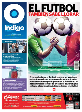 Cover of Reporte Indigo Nacional