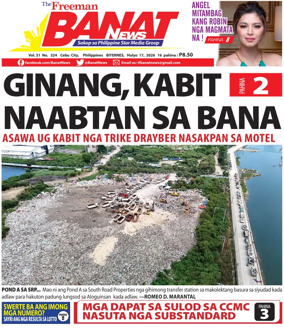 Cover of Banat News