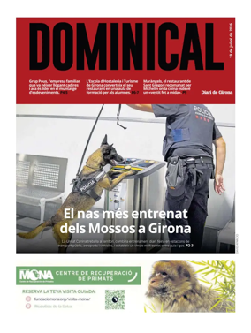 Cover of Dominical