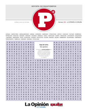 Cover of Pasatiempos