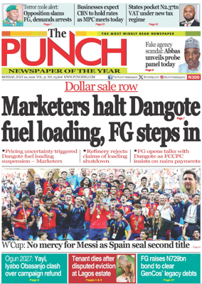Cover of The Punch