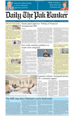 Cover of The Pak Banker