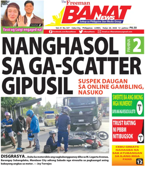 Cover of Banat News