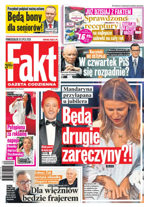 Cover of Fakt