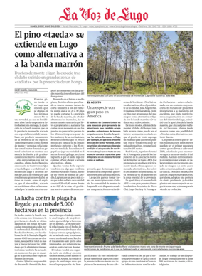 Cover of Monforte local