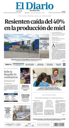 Cover of El Diario de Delicias