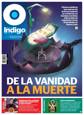 Cover of Reporte Indigo Monterrey