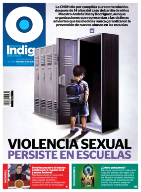Cover of Reporte Indigo Nacional