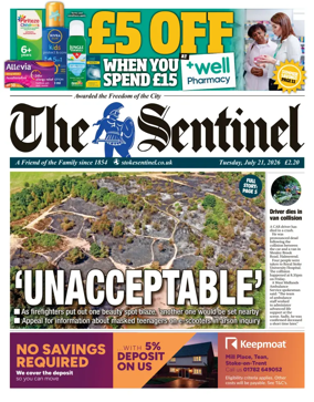 Cover of The Sentinel