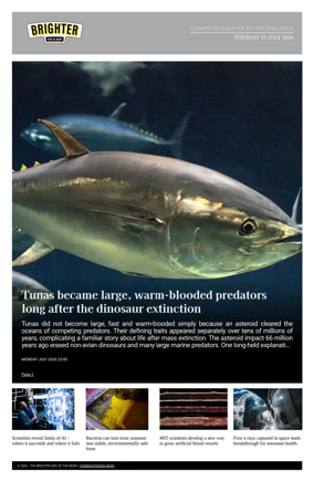 Cover of The Brighter Side of News