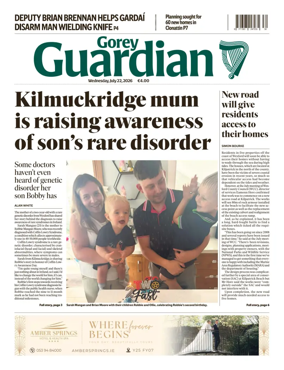 Cover of Gorey Guardian