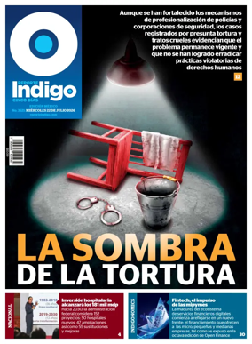 Cover of Reporte Indigo Nacional