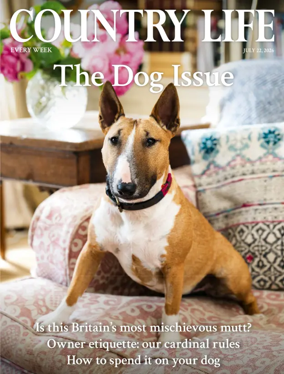 Cover of Country Life