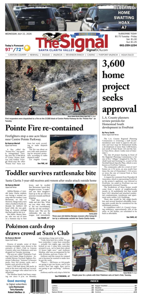 Cover of The Signal
