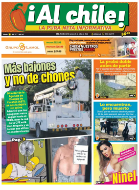Cover of Al chile