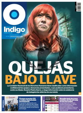 Cover of Reporte Indigo Nacional