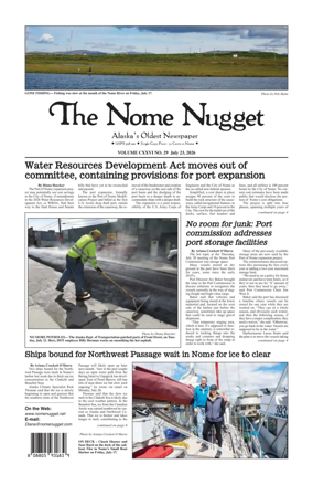 Cover of The Nome Nugget