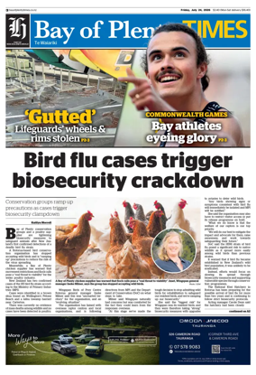 Cover of Bay of Plenty Times