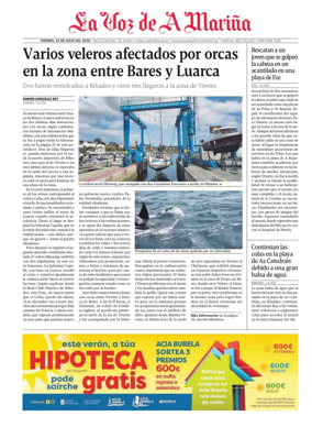 Cover of Viveiro local