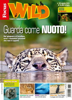 Cover of Focus Wild