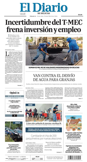 Cover of El Diario de Delicias