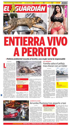Cover of El Guardian