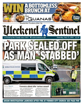 Cover of The Sentinel