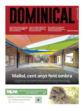 Cover of Dominical