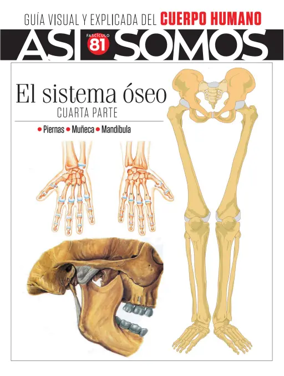 Cover of Asi Somos