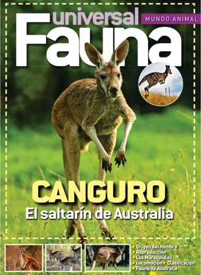 Cover of Fauna universal