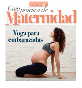Cover of Guia Practica de Maternidad