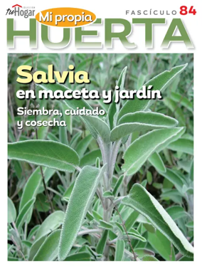Cover of Huerta en casa
